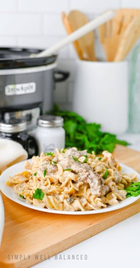 easy beef stroganoff on a plate and ready to eat. garnished with parsley.